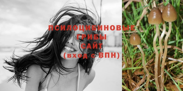 герыч Алзамай