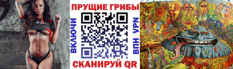 Купить  Иваново  Псилоцибиновые грибы Psilocybine cubensis 